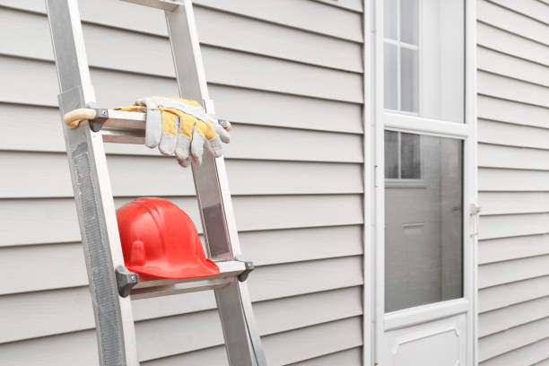 Best Custom Trim and Detailing for Siding  in Zolfo Springs, FL